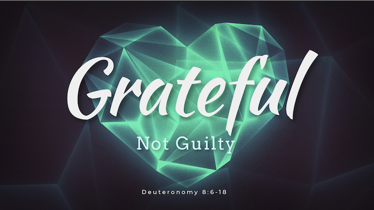 Grateful Not Guilty