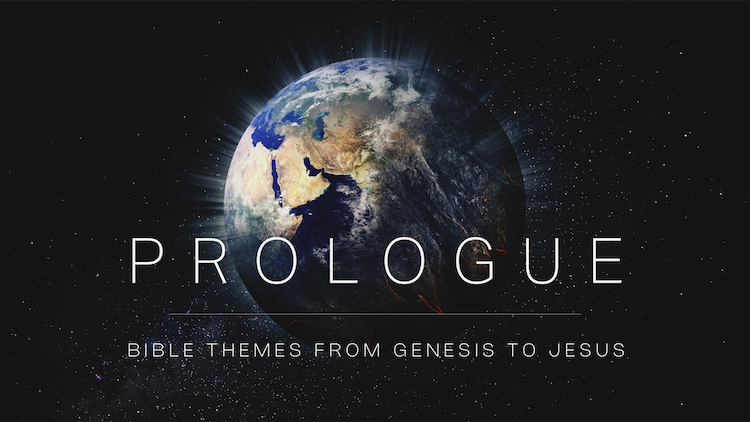 Themes In Genesis | The City